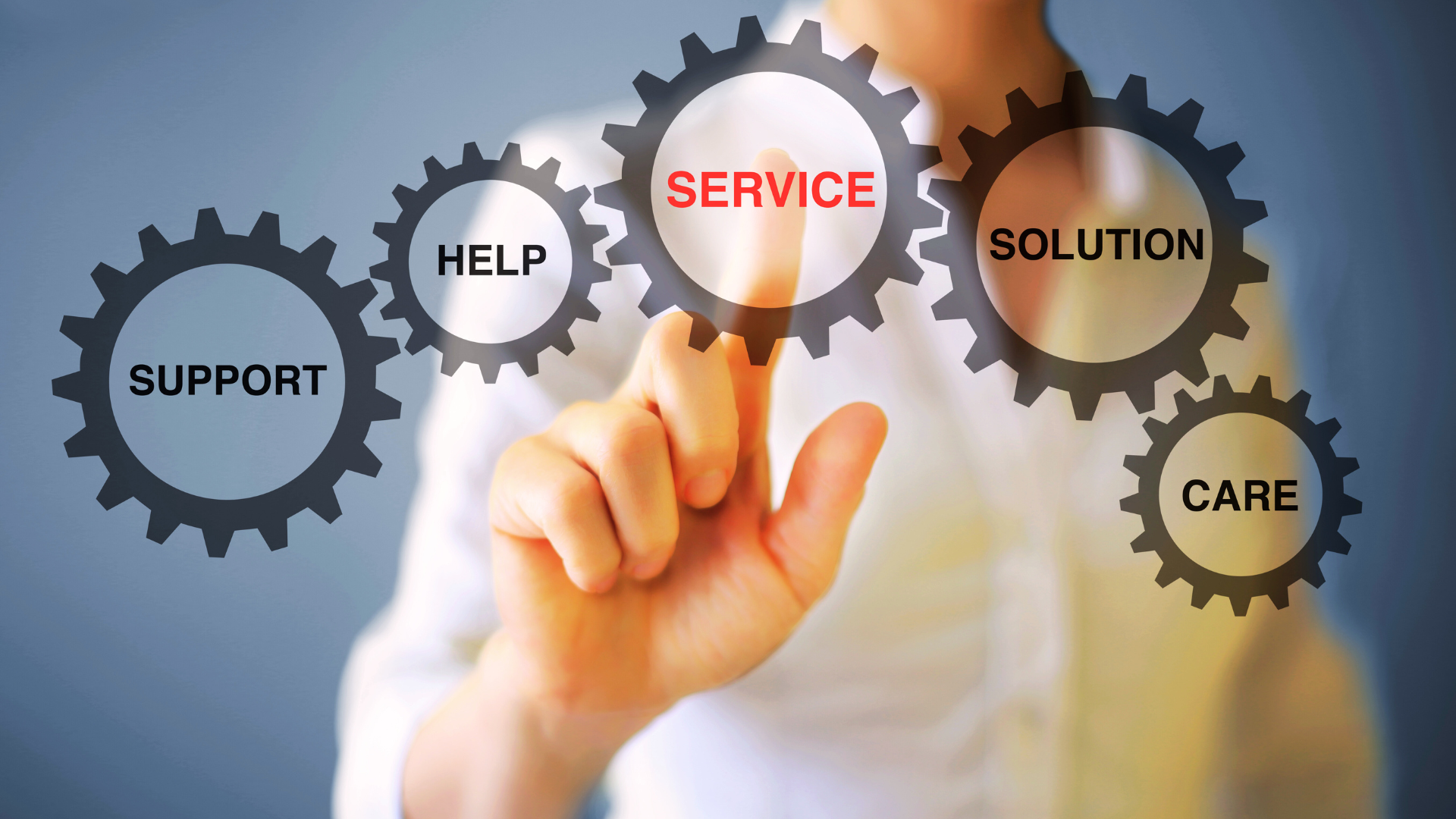 Tender Consulting
